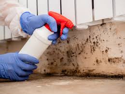  , USA Mold Removal & Remediation Pros